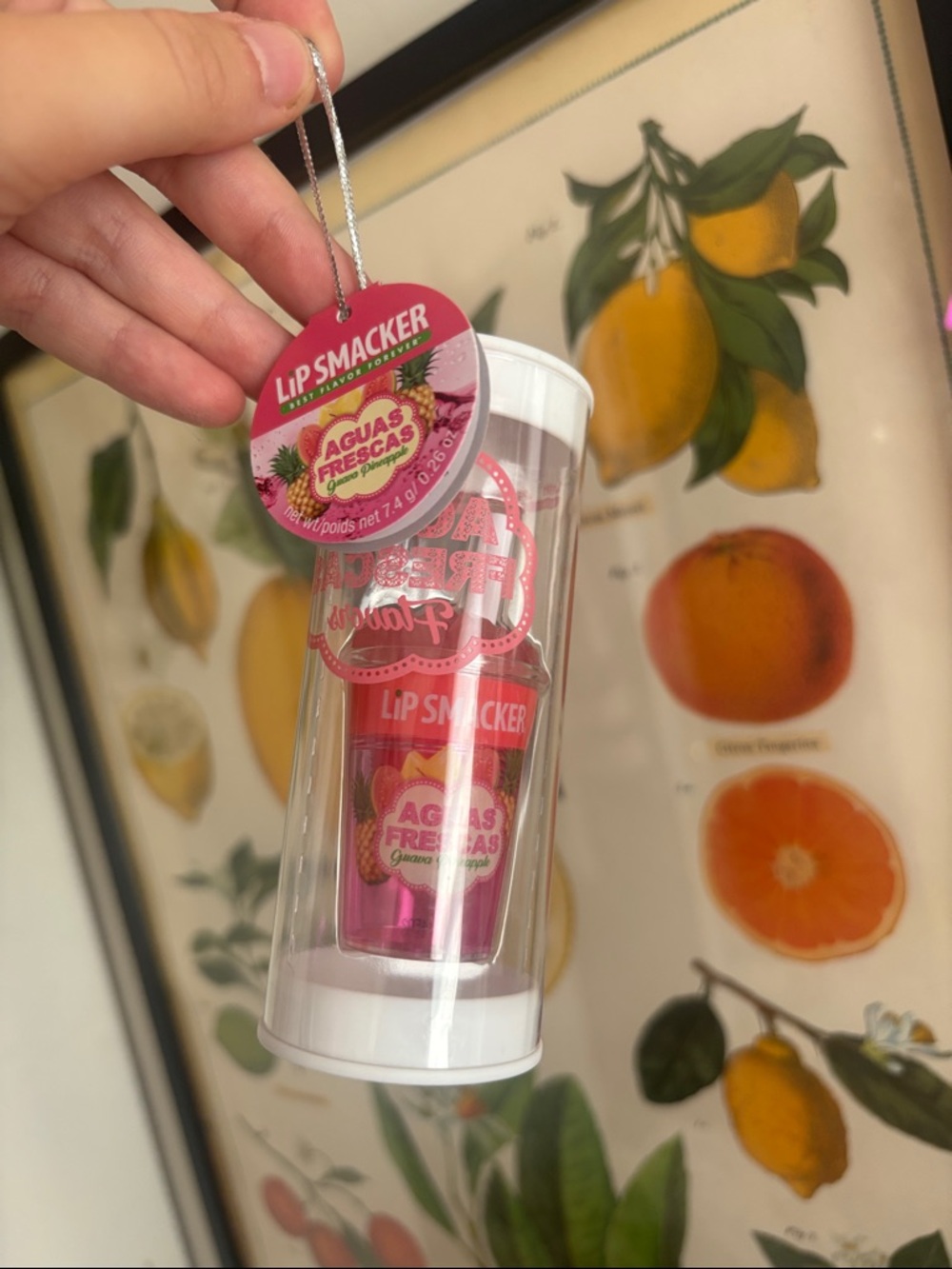Aguas Frescas Guava Pineapple -Sorbet Hydrating Lip Balm — Pink